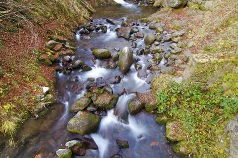 Creek Foto stock