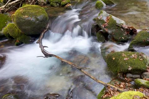 Creek Stock Photos