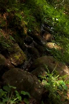 Creek Stock Photos