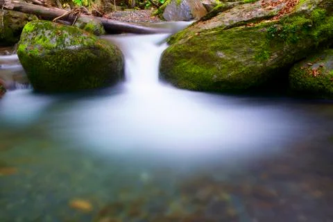 Creek Фото