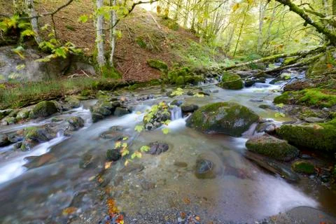 Creek Fotos de archivo