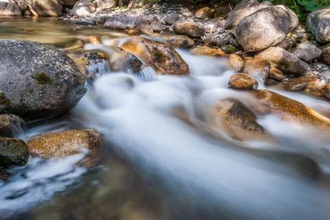 Creek Stock Photos