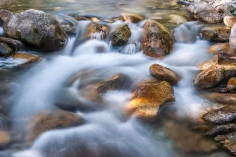 Creek Stock Photos
