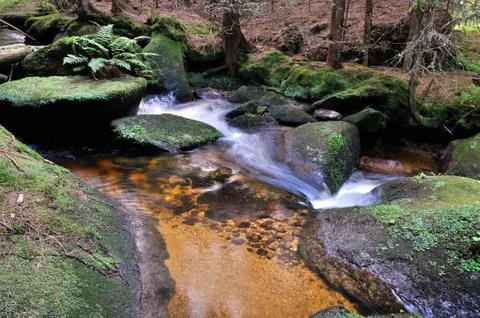 Creek Stock Photos