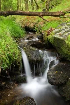 Creek Stock Photos