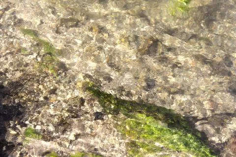 Creek Stock Photos