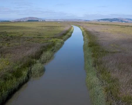 Creek Stock Photos