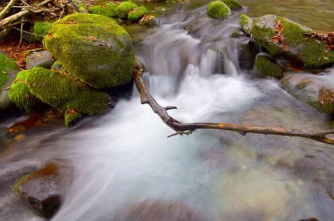Creek 库存照片