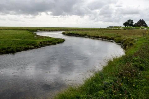 Creek Stock Photos