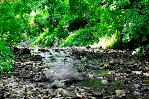 Creek Stock Photos