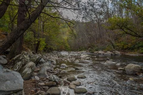 Creek Stock Photos