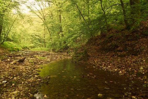 Creek Foto stock