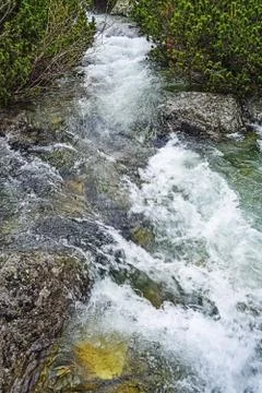Creek Stock Photos