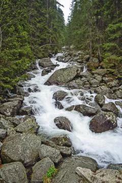 Creek Stock Photos