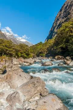 Creek Stock Photos