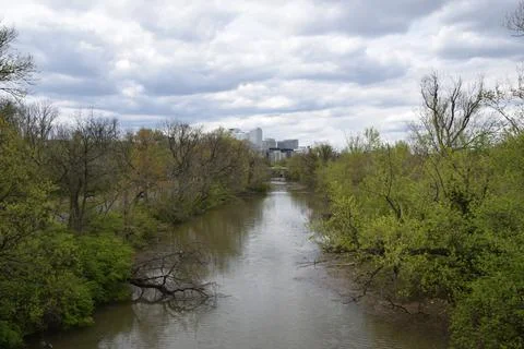 Creek Stock Photos
