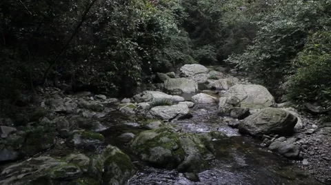 The creek in the primitive forest Stock Footage 41453522