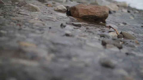 Creek Rack Focus Stock Footage 79576726