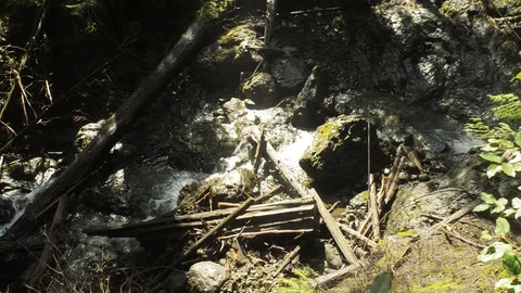 Creek in the rain forest Stock Footage 102783178