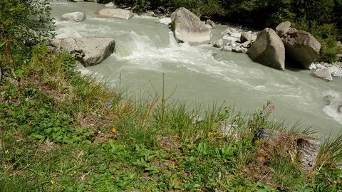 Creek  rallenty Stock Footage 79897213