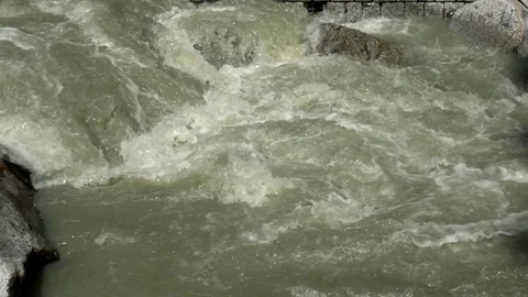 Creek rallenty Stock Footage 79897341