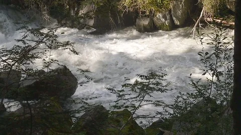 Creek rallenty Video stock 79904930
