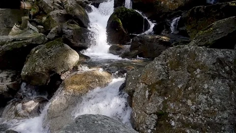 Creek rallenty Video stock 79904946