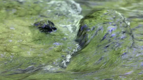 Creek rapids in high mountains Stock Footage 35914347
