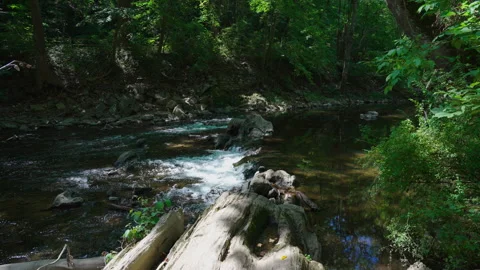 Creek rapids with trees in background Stock Footage 249785565