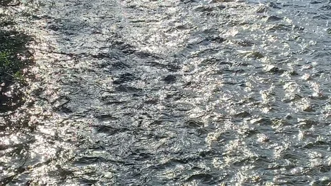 Creek reflecting sunlight 스톡 동영상 113850359