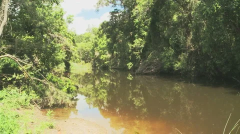 Creek with reflections Motion JPEG Stock Footage 5503053