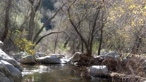 Creek, river down flow from waterfall, Cedar Creek Falls, San Diego Stock Footage 231279512