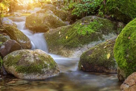 Creek River flows through rocks. Stock Photos