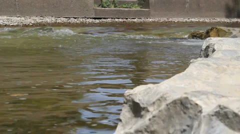 Creek with Rock in Foreground Stock Footage 5186786