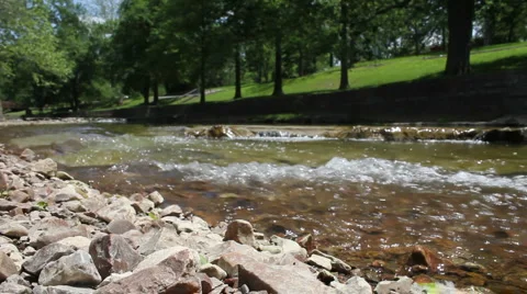 Creek rockbed in foreground Stock Footage 5186705