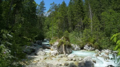 Creek with rocks in the forest in Bavaria, magic forest Ramsau Video stock 110804229