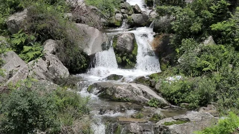 Creek in the rocks in the forest Stock Footage 95328563