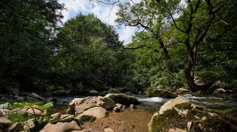 Creek in Romania Stock Footage 43360798