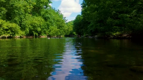 Creek running between the trees Stock Footage 169126339