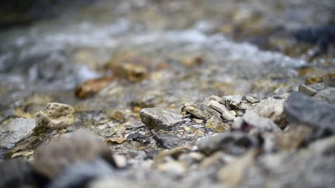 Creek running slowly Stock Footage 90738971