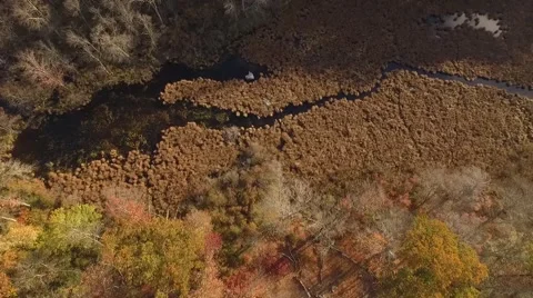 Creek running through field Stock Footage 69071076