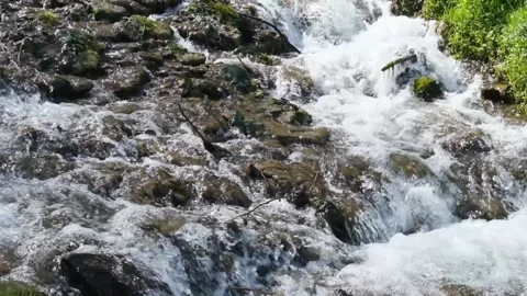Creek runs Stock Footage 153795993