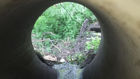 Creek in sewer pipe Stock Footage 132734230