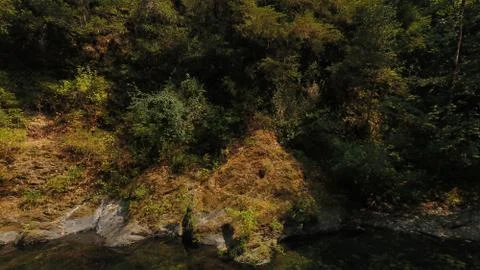 Creek side Stock Photos