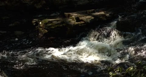 Creek in slow motion 動画素材 247143031