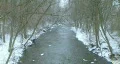 Creek with Snow Falling HD Footage