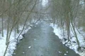 Creek with Snow Falling Footage