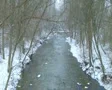 Creek with Snow Falling SD Footage