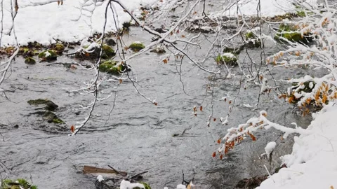 Creek in a snowy forest Stock Footage 231261897