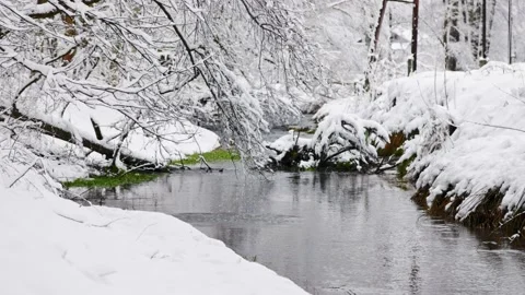 Creek in a snowy forest Stock-Footage 231262514